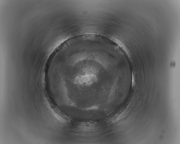 X0000090620627200707241130