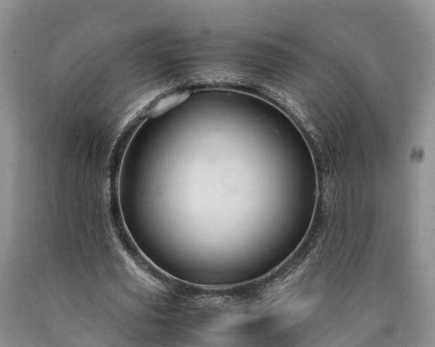 X0000090620629200707241130