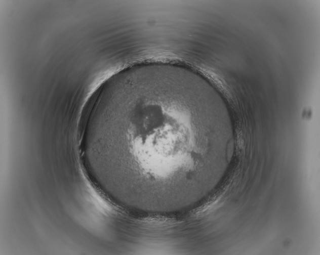 X0000090620630200707241130