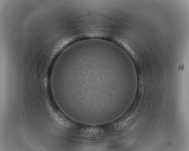X0000090620631200707241130