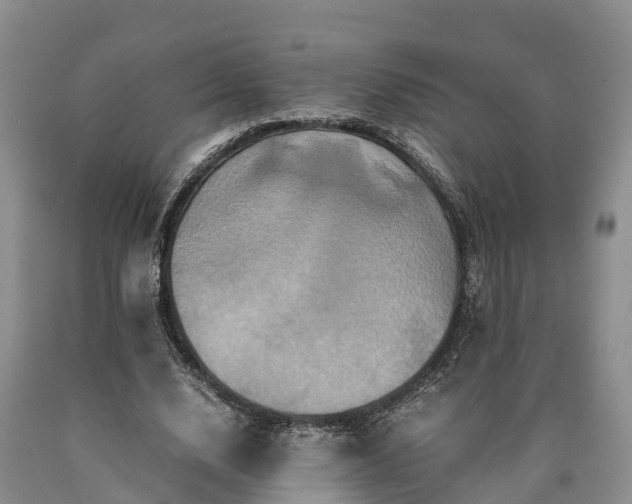 X0000090620632200707241130