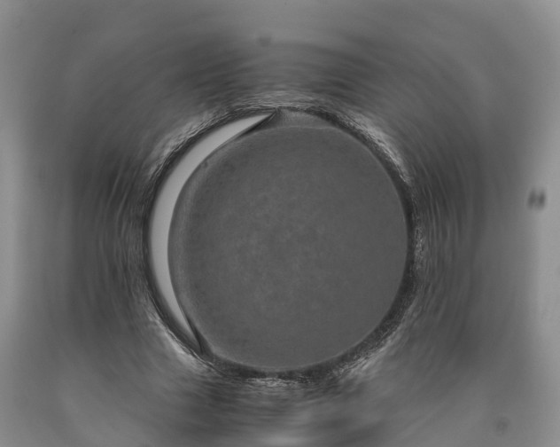 X0000090620633200707241130