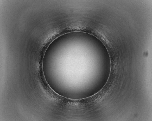 X0000090620635200707241130