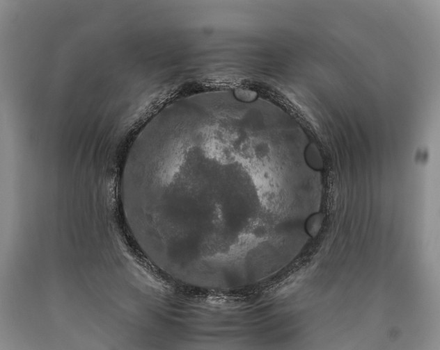 X0000090620641200707241130