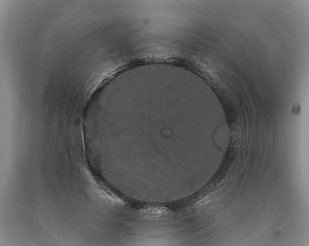 X0000090620642200707241130
