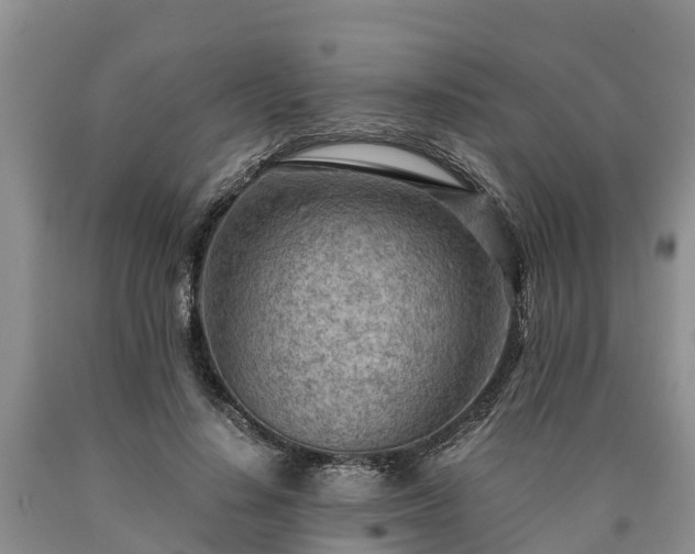X0000090620644200707241130