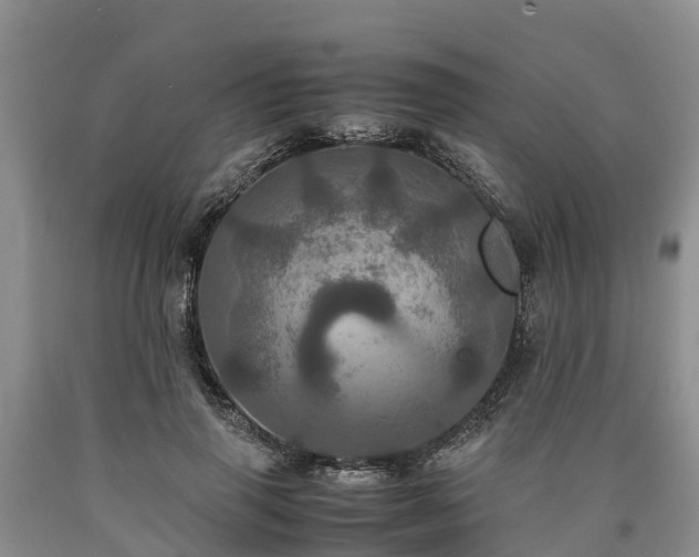 X0000090620645200707241130