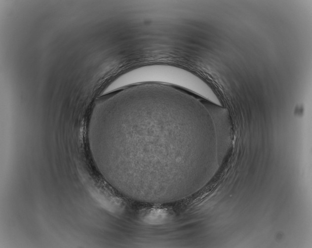X0000090620647200707241130