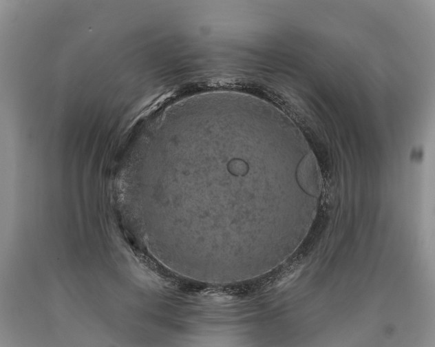 X0000090620648200707241130