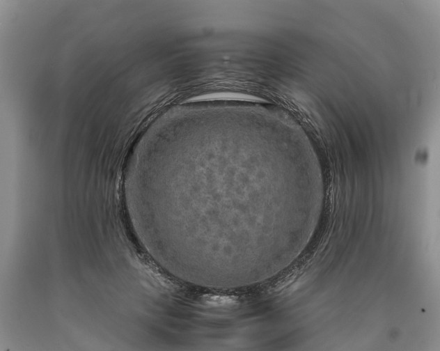 X0000090620649200707241130