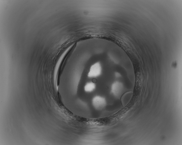 X0000090620650200707241130