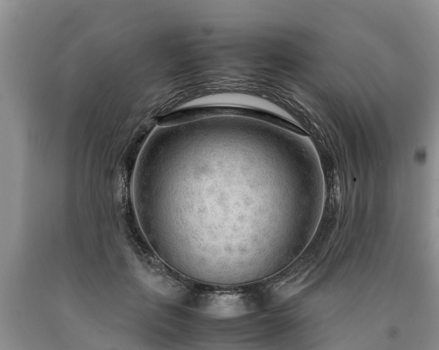 X0000090620651200707241130