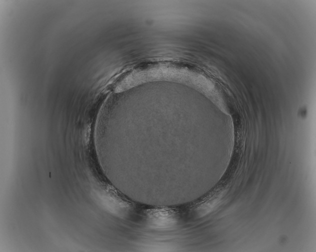 X0000090620652200707241130