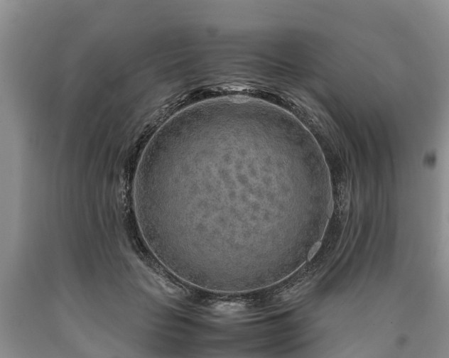 X0000090620653200707241130