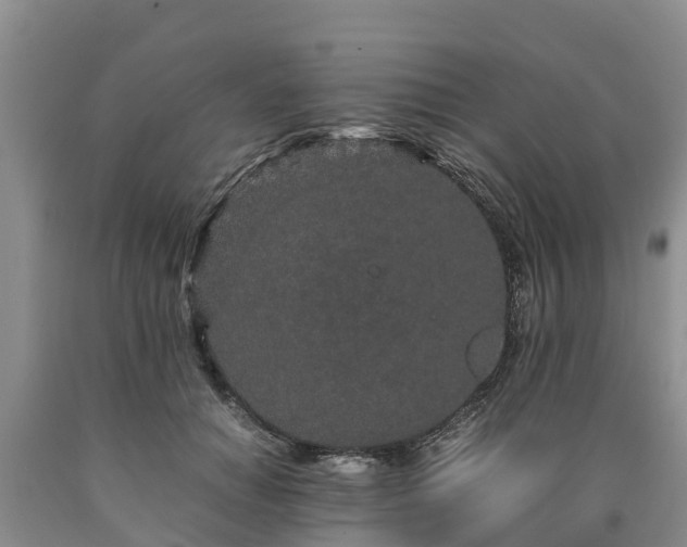 X0000090620654200707241130
