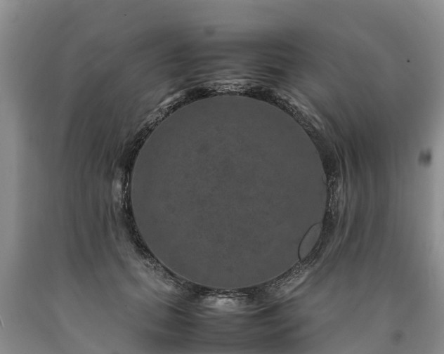 X0000090620655200707241130