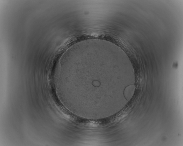 X0000090620656200707241130