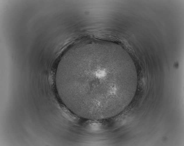 X0000090620658200707241130