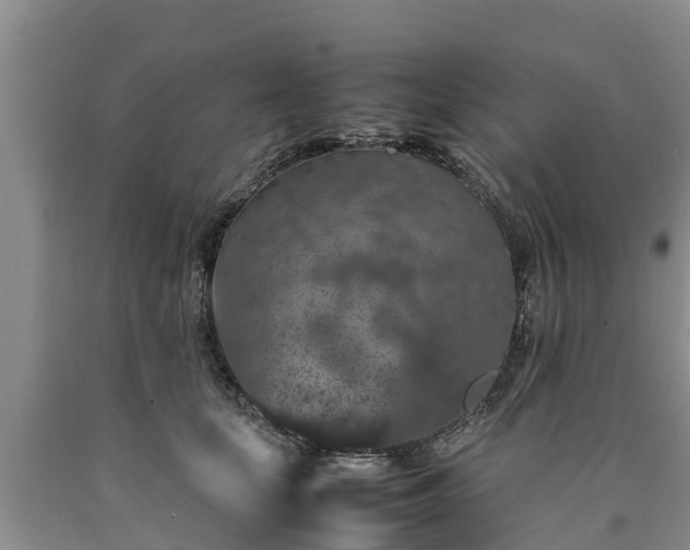 X0000090620659200707241130