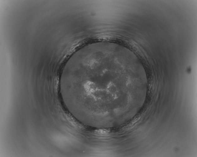 X0000090620660200707241130