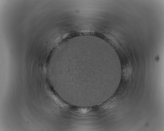 X0000090620662200707241130