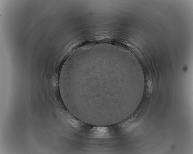 X0000090620665200707241130