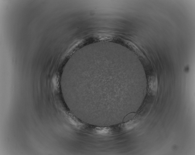 X0000090620667200707241130