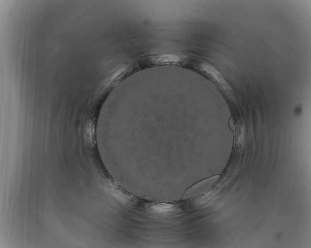 X0000090620669200707241131