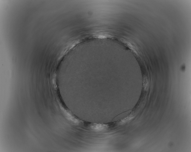 X0000090620670200707241131