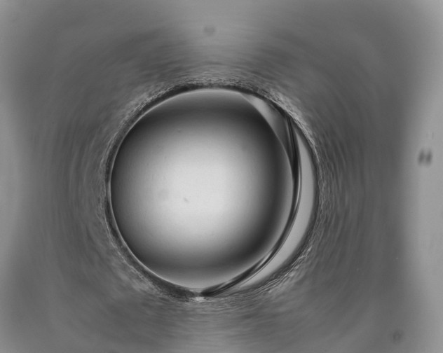 X0000090620673200707241130