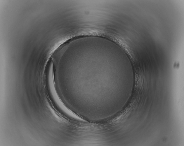 X0000090620674200707241130