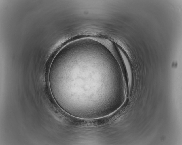 X0000090620675200707241130