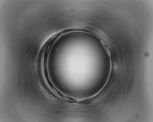X0000090620676200707241130