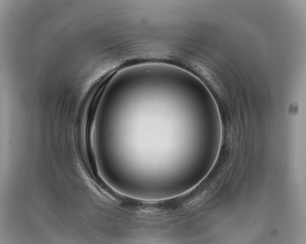 X0000090620677200707241130