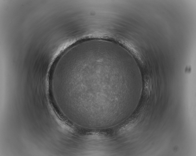 X0000090620678200707241130