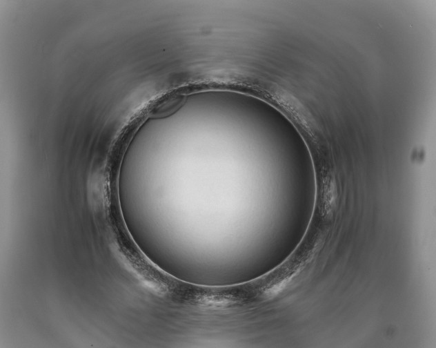 X0000090620680200707241130