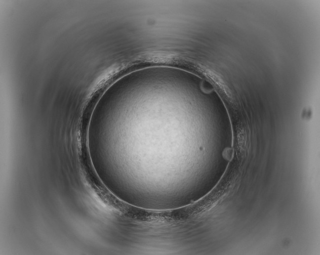 X0000090620682200707241130