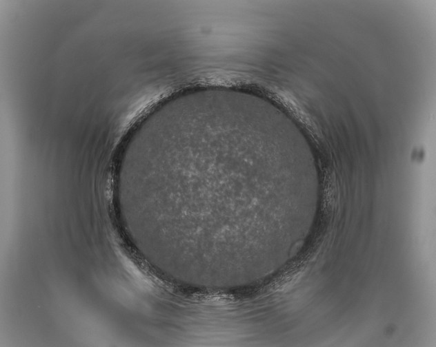 X0000090620683200707241130