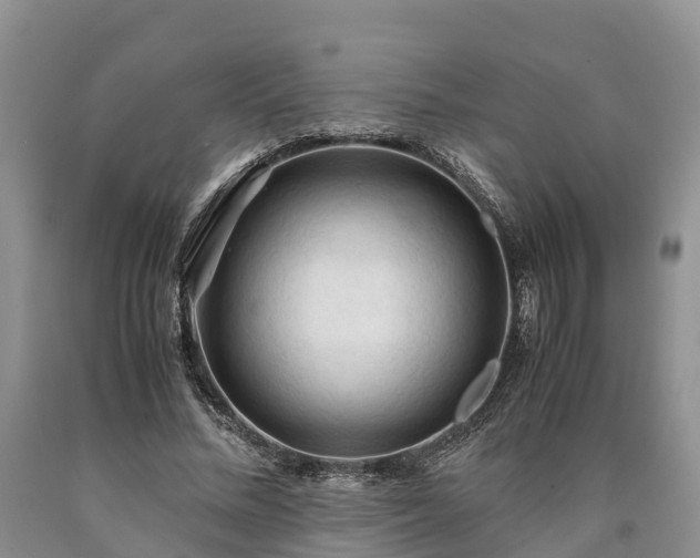 X0000090620684200707241130