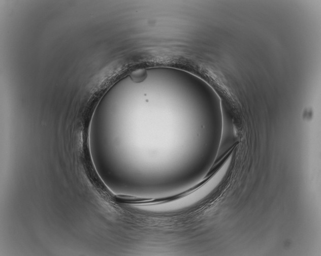 X0000090620685200707241130