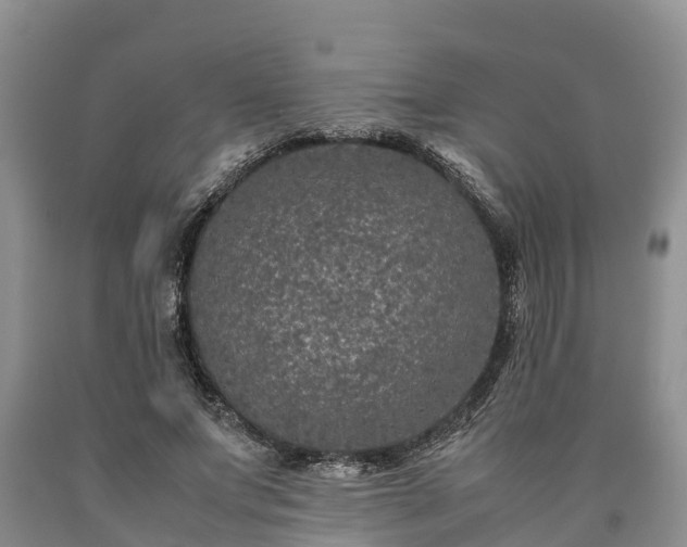 X0000090620687200707241130