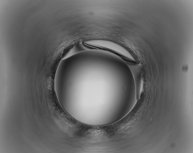 X0000090620689200707241129