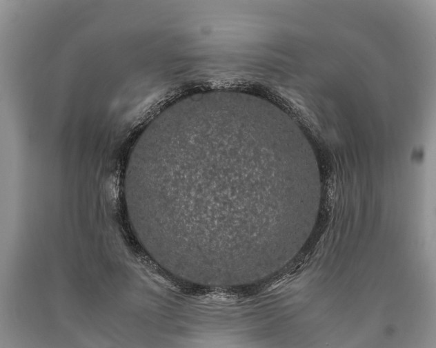 X0000090620691200707241129