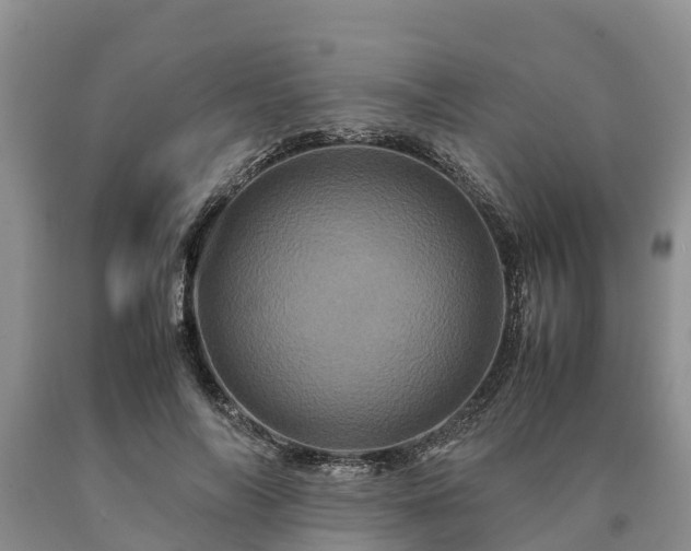 X0000090620694200707241129