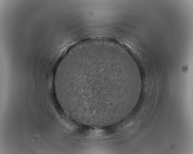 X0000090620695200707241129