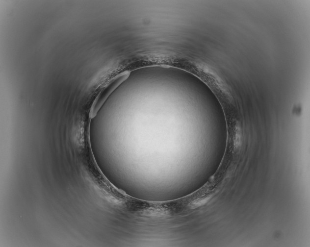 X0000090620696200707241129