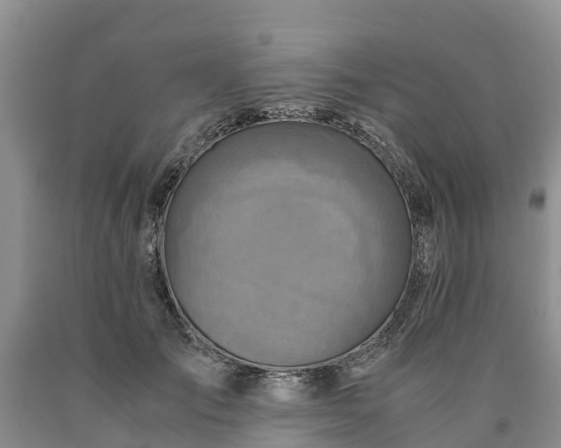 X0000090620701200707241129