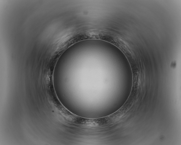 X0000090620702200707241129