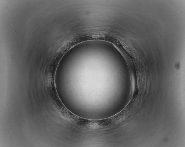 X0000090620704200707241129