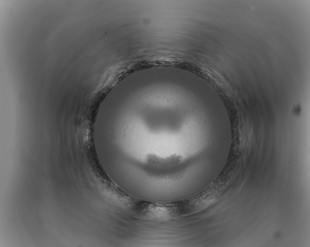 X0000090620706200707241129